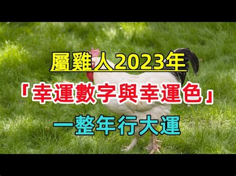 屬雞2023幸運色|【屬雞 2023 幸運色】2023屬雞幸運色盡在一覽表！吸睛的獨門轉。